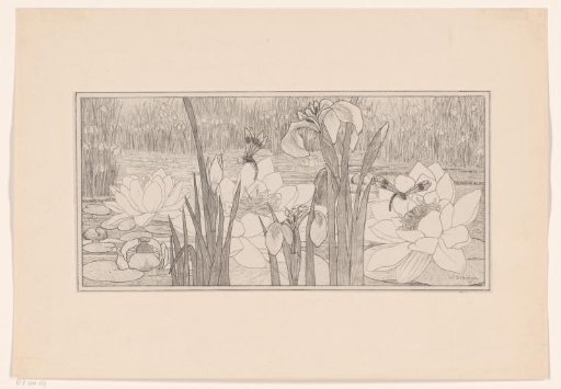 Water Lilies