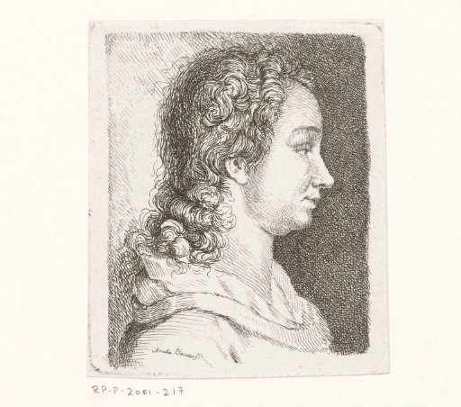 Portrait of the artist Georg Friedrich Schmidt's wife
