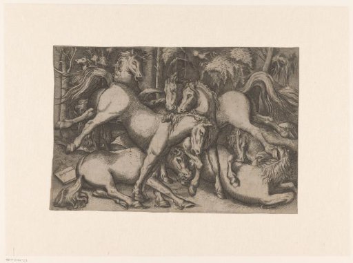 Fighting Horses