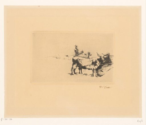 Ox in Harness