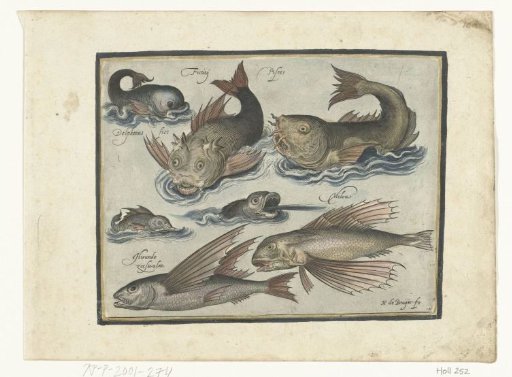 Fantastic water creatures, including dolphin and porpoise