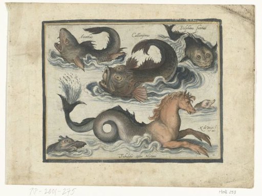 Fantastic water creatures, including seahorse