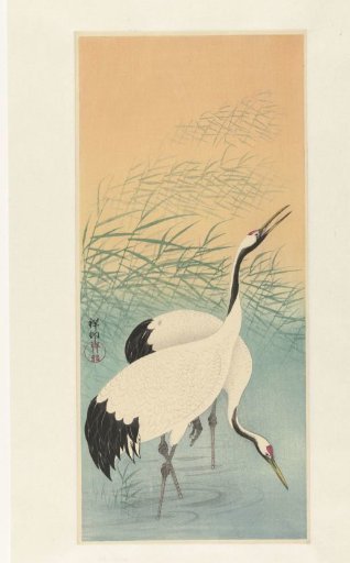 Two cranes