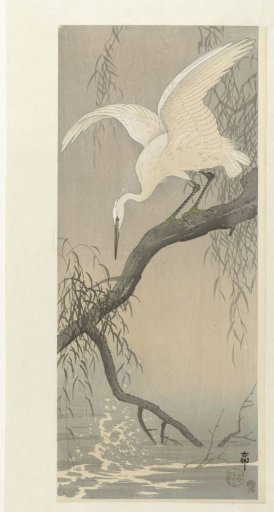White Heron on a Tree Branch
