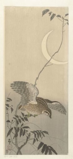 Quail by the Crescent Moon