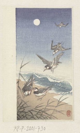 Birds at the full moon