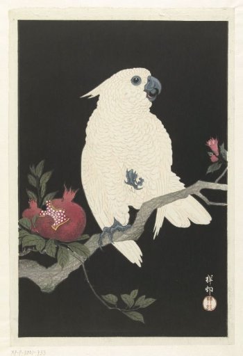 Cockatoo and Pomegranate