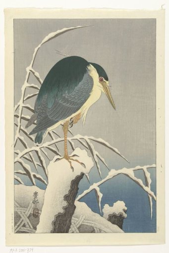 Heron in Snow