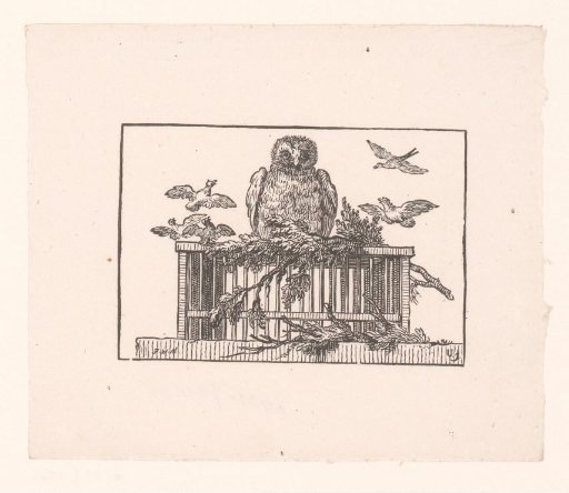 Young Cuckoo with Flying Birds