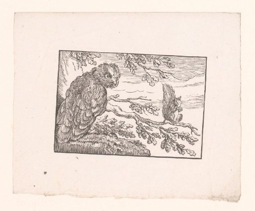 Owl and Squirrel in a Tree