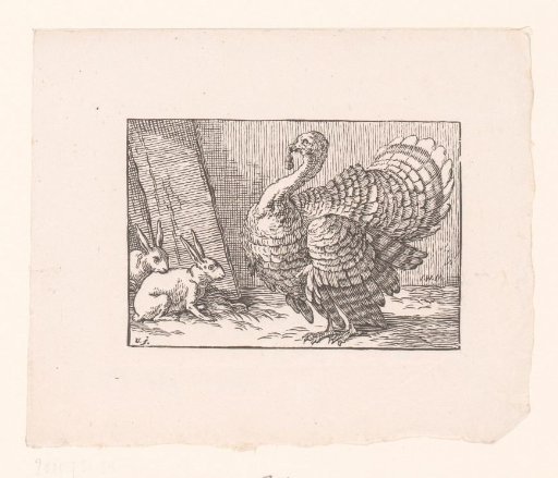 Turkey and Two Rabbits