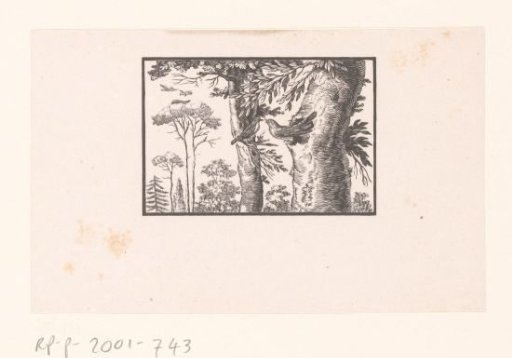 Birds in a Tree