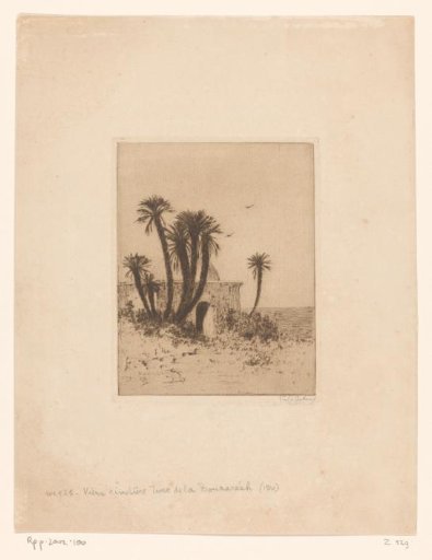 The Old Cemetery of Bouzaréah, near Algiers