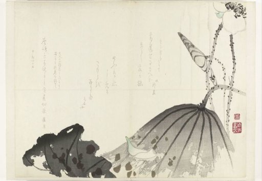 Lotus leaf