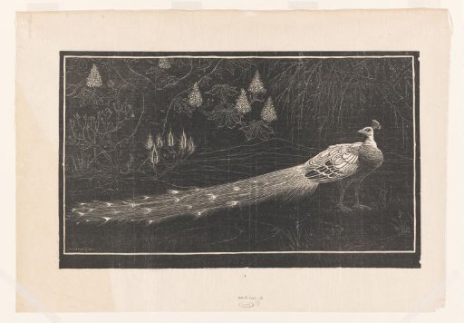 Peacock in a Landscape