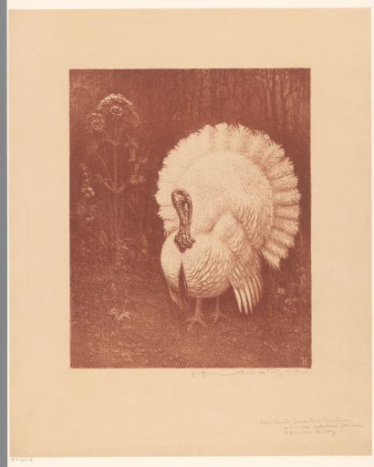 Turkey