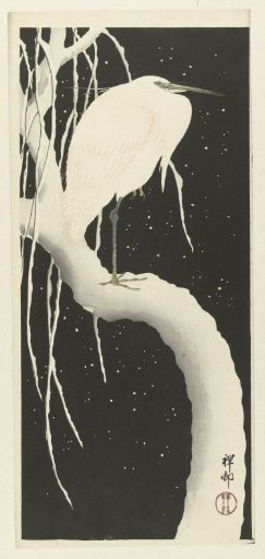 Egret in snow