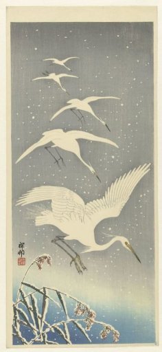 Descending egrets in snow