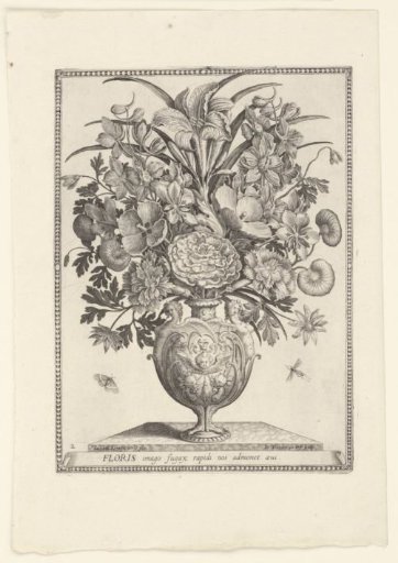 Polyptoton de Flore (The Variance of Flowers)