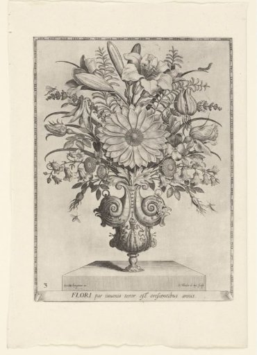Polyptoton de Flore (The Variance of Flowers)