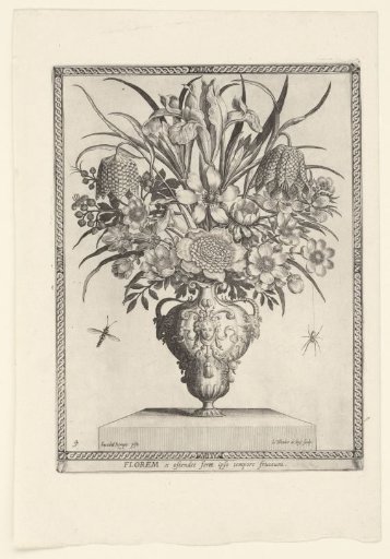 Polyptoton de Flore (The Variance of Flowers)
