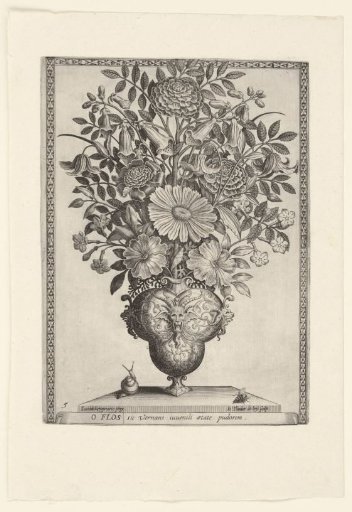Polyptoton de Flore (The Variance of Flowers)
