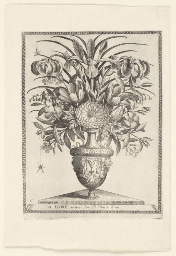 Polyptoton de Flore (The Variance of Flowers)