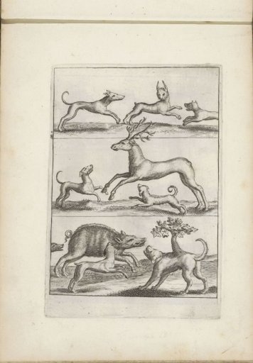 Dogs Hunting a Hare, a Stag and a Wild Boar