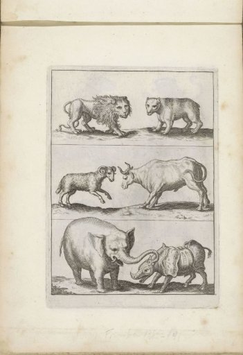Lion, Bear, Goat, Bull, Elephant and Rhinoceros