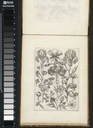Various Flowers