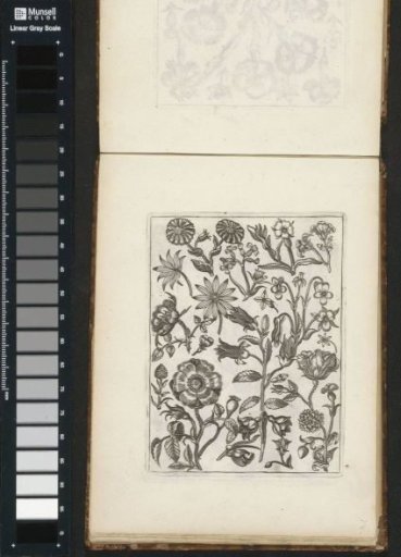 Various Flowers