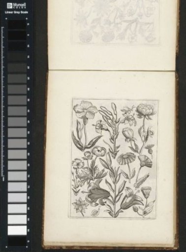 Various Flowers
