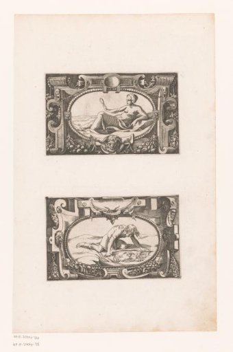 Narcissus