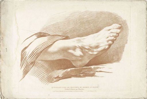 Study of a Right Foot