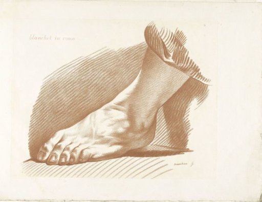 Study of a Left Foot
