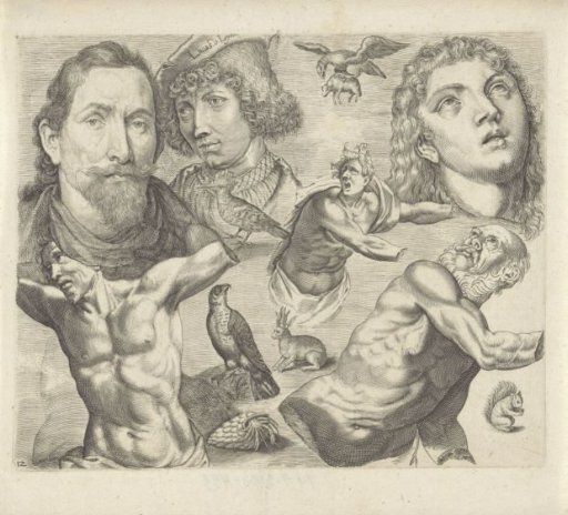 Study sheet with drawing examples: heads, torsos, and animals