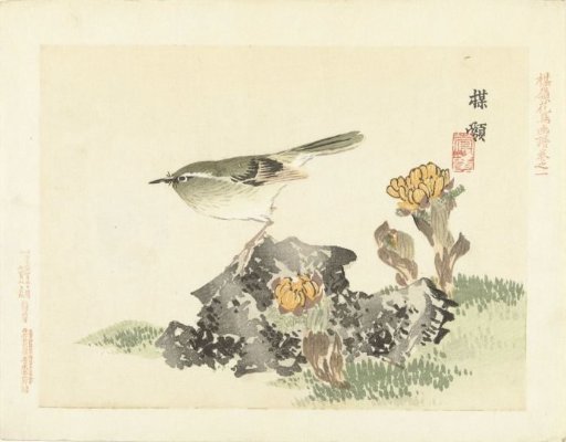 Green bird