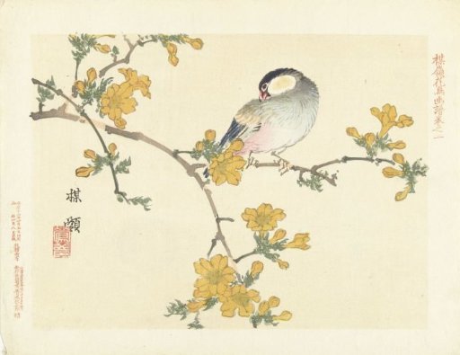 Rice bird on a flowering branch