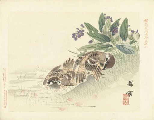 Two sparrows