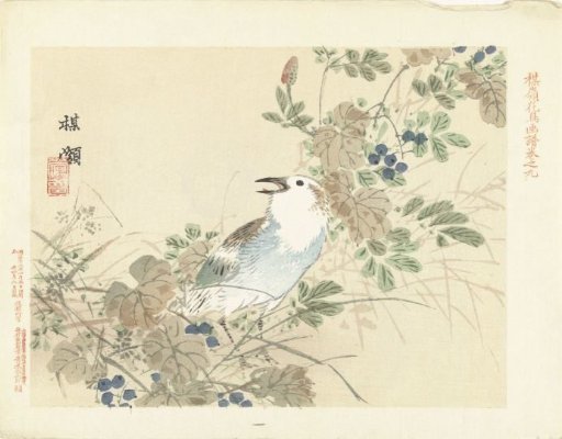 Songbird among autumn grasses