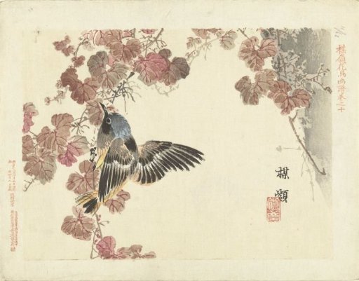 Bird and red vine