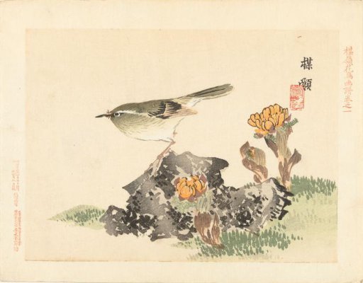 Sketches of flowers and birds by Bairei