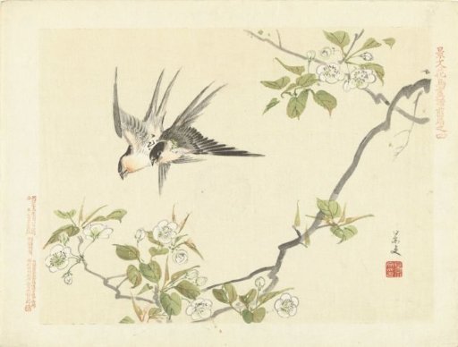 Two swallows