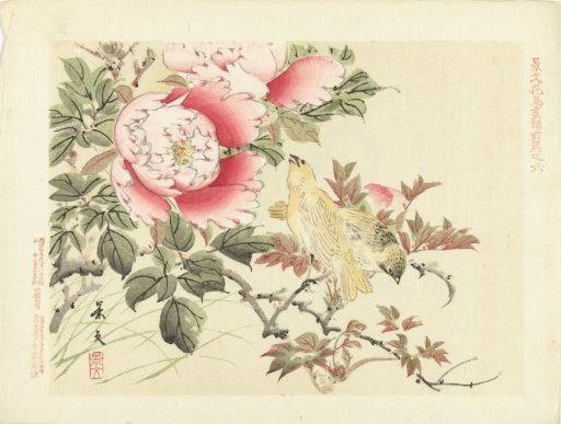 Birds and peonies