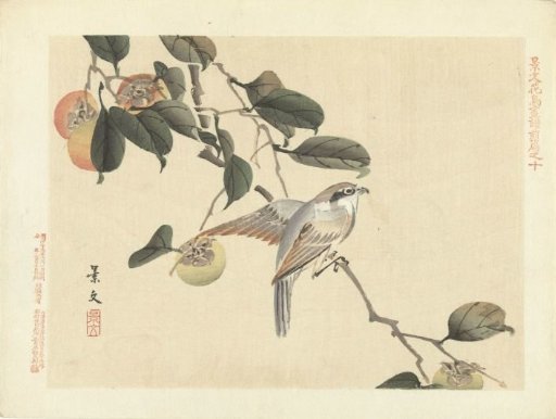 Bird and kaki