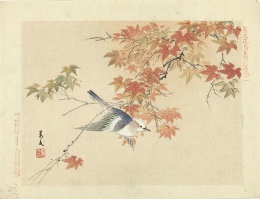 Bird flying among autumn branches