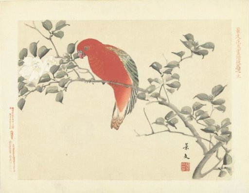 Red parrot on a branch with white flowers