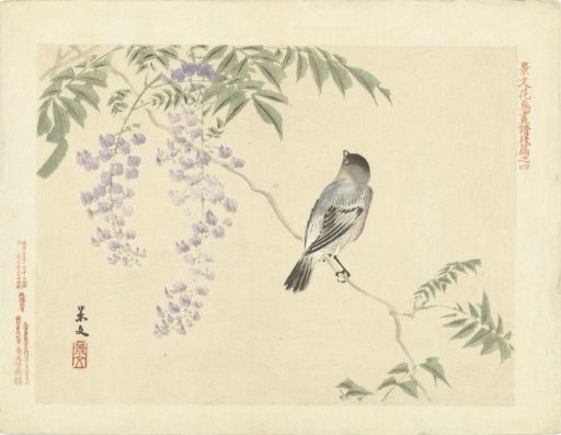Bird on a wisteria branch