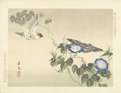 Two birds flying near blue bindweed