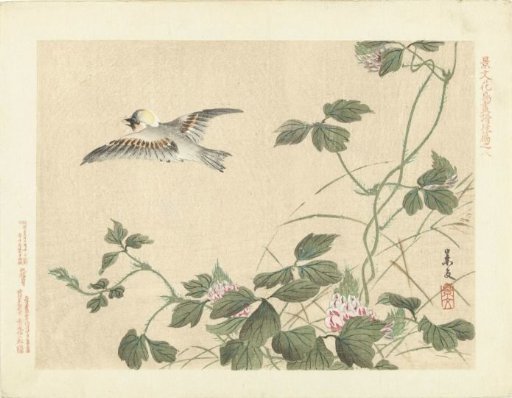 Bird flying away near a climbing plant with pink flowers